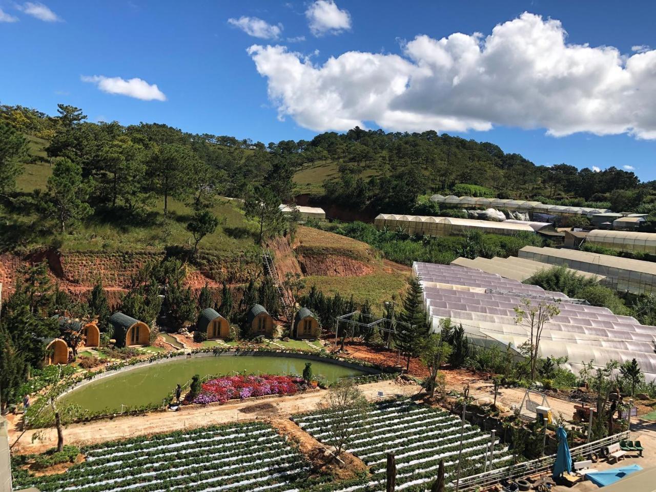 Berry Valley Homestay Da Lat Exterior foto
